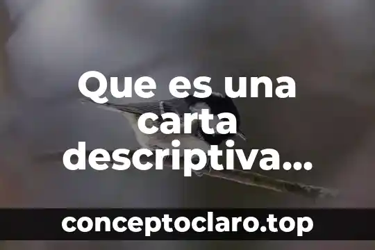 Que es una carta descriptiva ejemplo revolucion mexicana