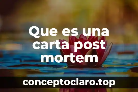 Que es el arte post internet 4 Que es una carta post mortem