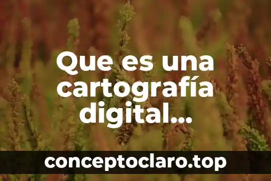 Que es ser constructiva 8 Que es una cartografía digital caracteristicas