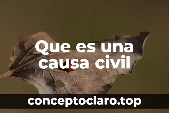 Que es lo q causa q te enamores 6 Que es una causa civil