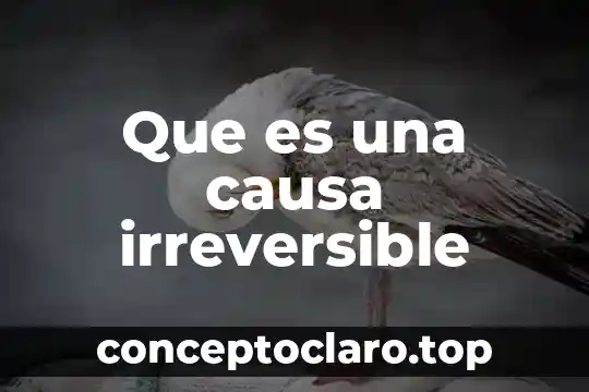 Que es lo q causa q te enamores 5 Que es una causa irreversible