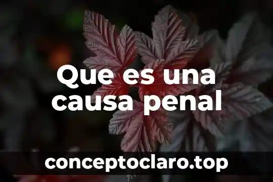 Que es una causa penal