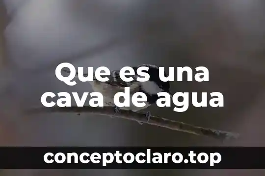 Que es una cava de agua