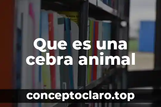 Que es axil anatomia animal 4 Que es una cebra animal