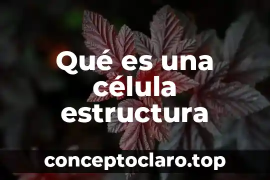 Qué es una célula estructura