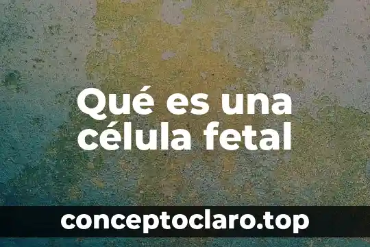Qué es una célula fetal