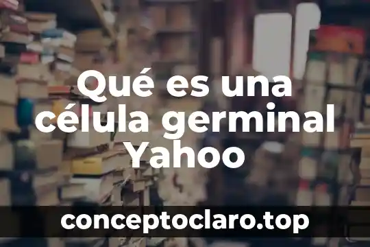 Qué es una célula germinal Yahoo