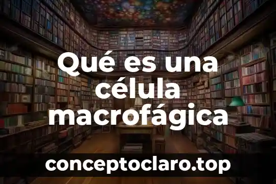 Qué es una célula macrofágica