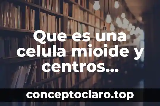 Que es una celula mioide y centros germinales