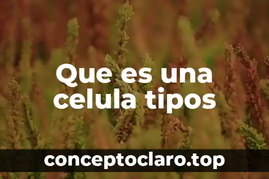 Que es una celula tipos