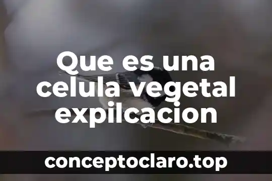 Ley para definir que es un vegetal 3 Que es una celula vegetal expilcacion