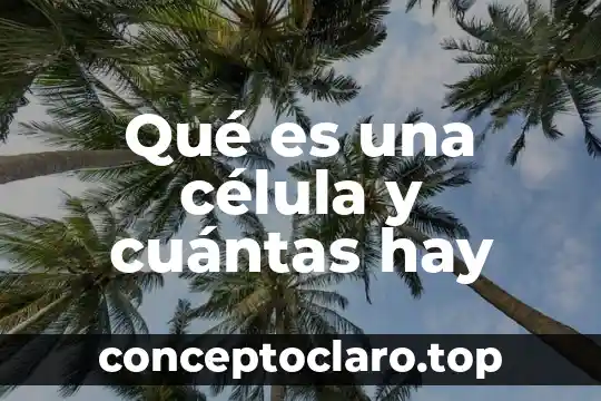 Que es el quinto sol 7 Qué es una célula y cuántas hay