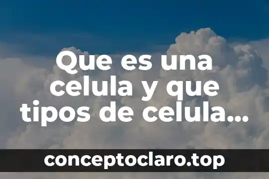 Que es una celula y que tipos de celula hay