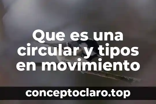 Que es una circular y tipos en movimiento