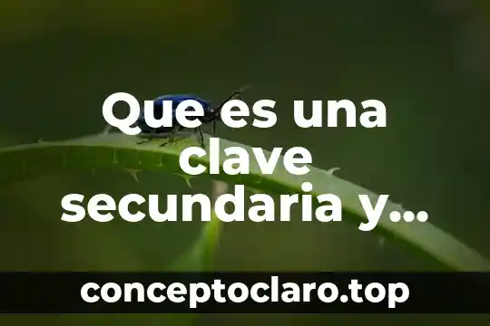 Que es infertilidad primaria y secundaria 8 Que es una clave secundaria y primaria