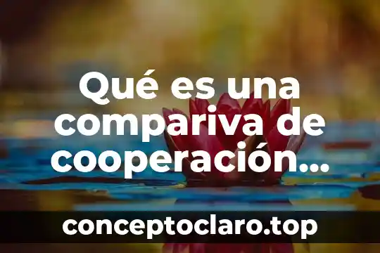 Que es la balanzas comercial 4 Qué es una compariva de cooperación comercial