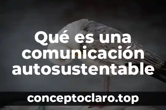 Qué es la emoción y tipos de emociones 8 Qué es una comunicación autosustentable