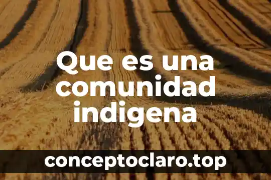 Que es una comunidad indigena