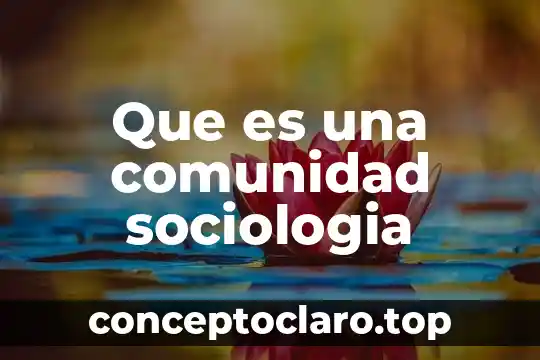 Que es el nombre que pone la comunidad científica 6 Que es una comunidad sociologia