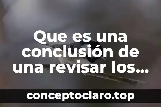 Que es una conclusión de una revisar los niveles