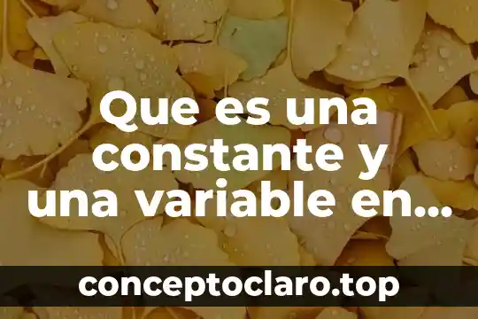 Que es una constante y una variable en calculo