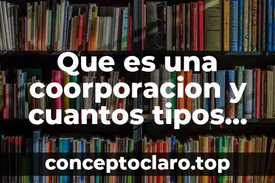Que es una coorporacion y cuantos tipos de coorporacion hay