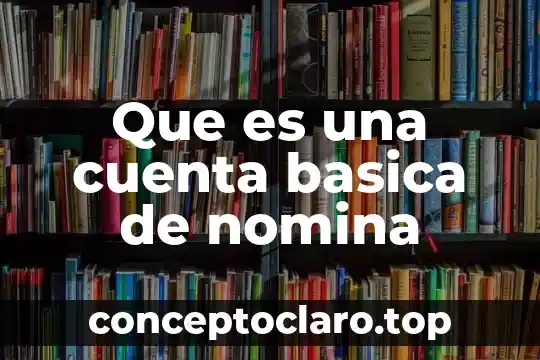 Que es una cuenta basica de nomina