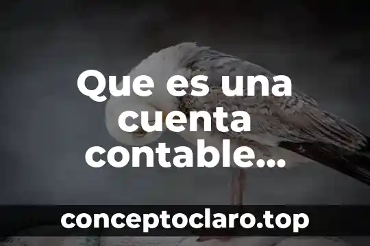 Que es un impacto en la cuenta 6 Que es una cuenta contable ejemplos