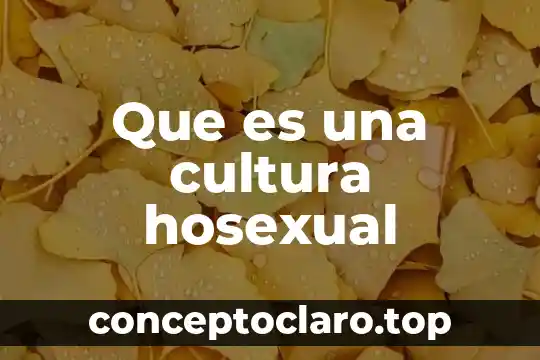Que es una cultura hosexual