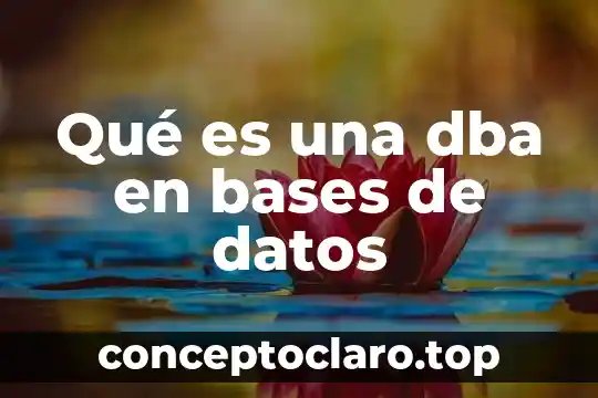 Para que es el mantenimiento de una base de datos 8 Qué es una dba en bases de datos