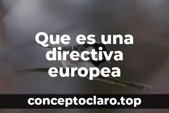 Que es una directiva europea