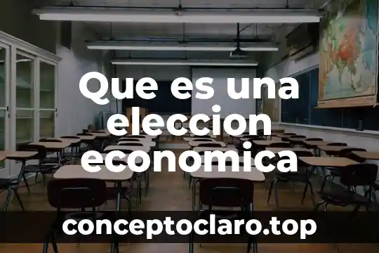 Que es una eleccion economica