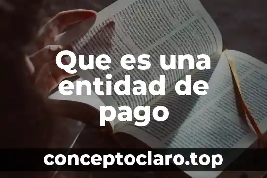 Que es una entidad de pago