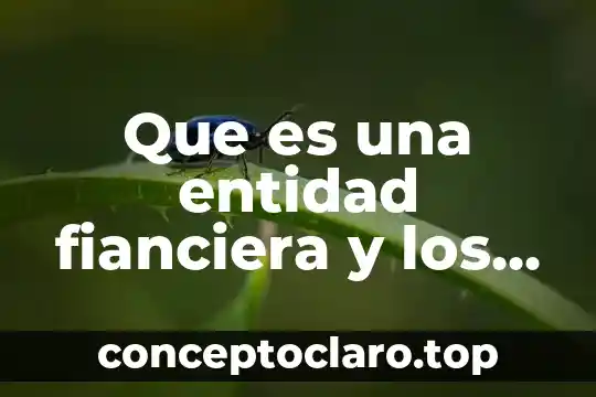 Que es una entidad fianciera y los tipos