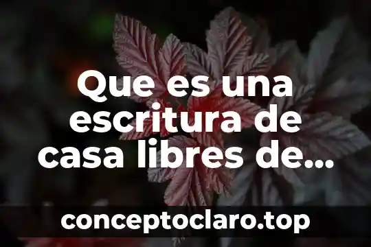 Que es libertad de gravamen fiscal 4 Que es una escritura de casa libres de gravamen