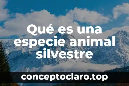 Que es el sorgo en nutricion animal 4 Qué es una especie animal silvestre