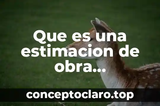 Que es una estimacion de obra estadistica