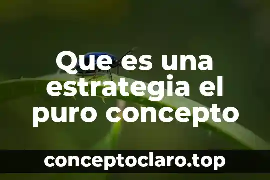 Que es una estrategia el puro concepto