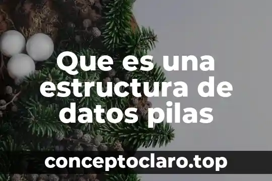 Que es una estructura panaloide 5 Que es una estructura de datos pilas