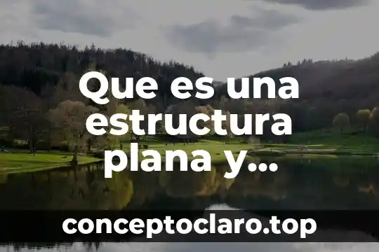 Que es una estructura panaloide 7 Que es una estructura plana y tridimensional