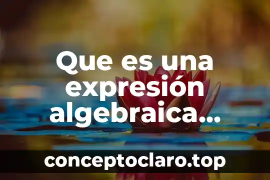 Que es una expresión algebraica terminos semejantes
