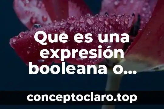 Que es una expresión booleana o logica