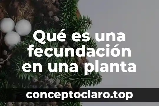 Qué es una planta híbrida 7 Qué es una fecundación en una planta