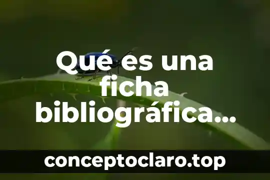 Qué es una ficha bibliográfica mapa conceptual