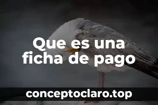 Que es una ficha de pago