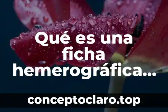 Qué es una ficha hemerográfica concepto