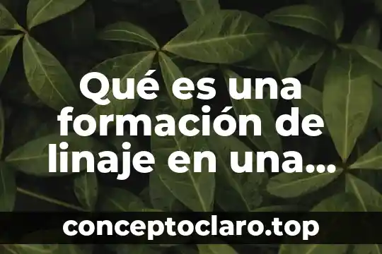 Que es la familia de aliento 8 Qué es una formación de linaje en una familia