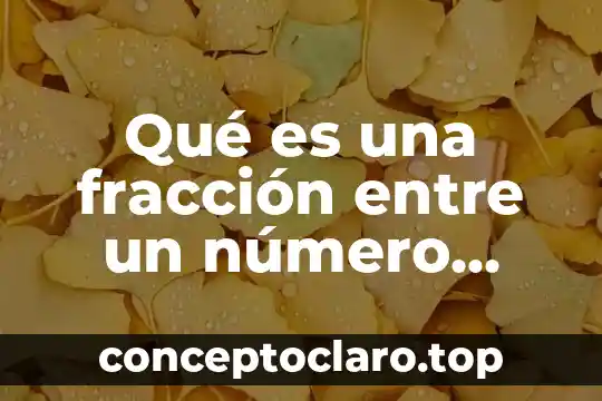 Qué es una fracción entre un número natural