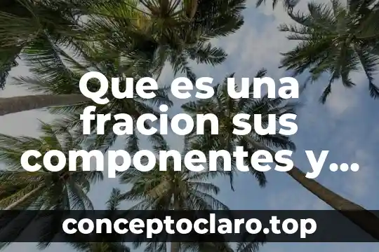 Que es una fracion sus componentes y tipos de fracion