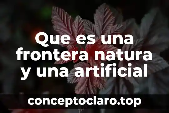 Que es una frontera politica 6 Que es una frontera natura y una artificial